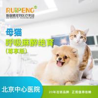 【北京中心医院直播专享】【尊享】母猫呼吸麻醉绝育团餐 猫咪